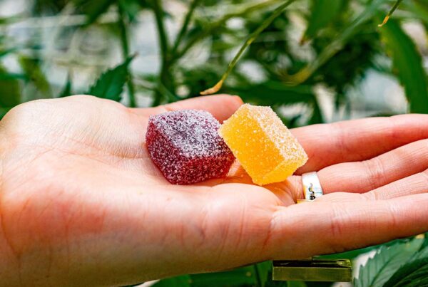 edibles in snoepvorm