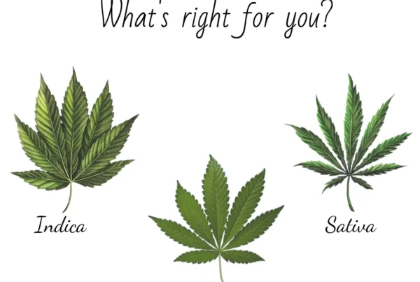 sativa, indica en hybride